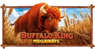 ภาพเกม Buffalo King Megaways ที่ pixopay รวบรวมไว้